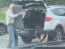 Las desgarradoras señales que indican que tu perro está muriendo y que muchos dueños pasan por alto
