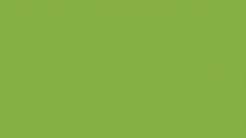 Greenery: este es el Color Pantone de 2017