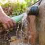 Un infectólogo señala que estas botellas muy consumidas en España tienen 40.000 veces más bacterias que el inodoro